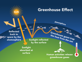 Greenhouse Effect