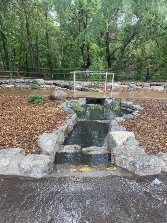 Rainwater flowing into rocky area surrounded by mulch