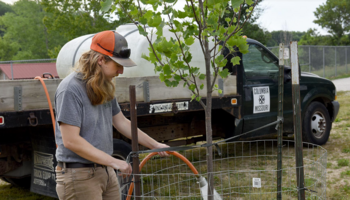 Parks and Recreation employee Sam Swindell waters a tree amid a heat wave last Wednesday at Twin Lakes Recreation Area in Columbia