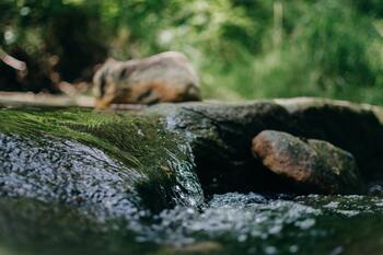 river