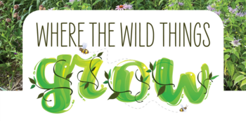 Where the wild things grow
