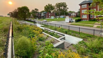 The Dunlap Cognitive Ecology Laboratory plans to examine bees and other insects at the Green House Venture’s Embankment Greenway in south St. Louis.