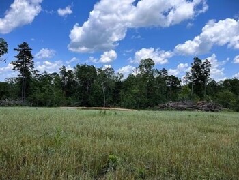 MDC offers landowner assistance to help conserve Missouri’s natural resources