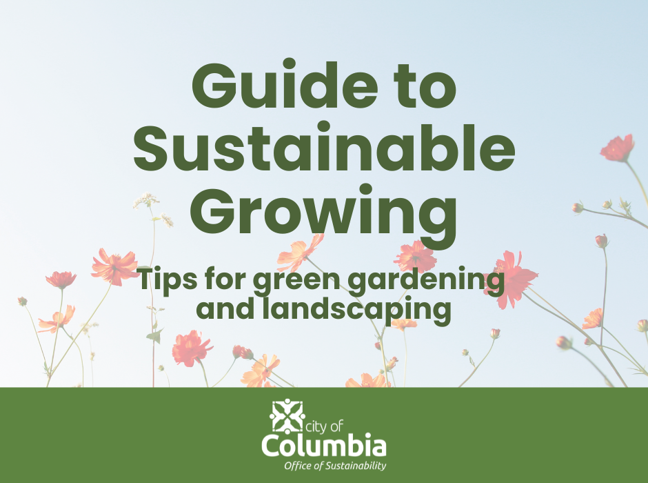 Tips for green gardening